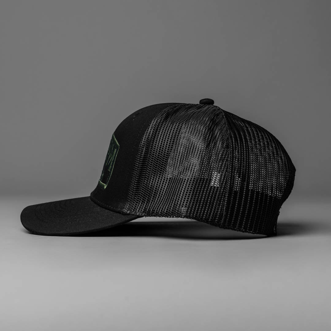 Legacy Snapback